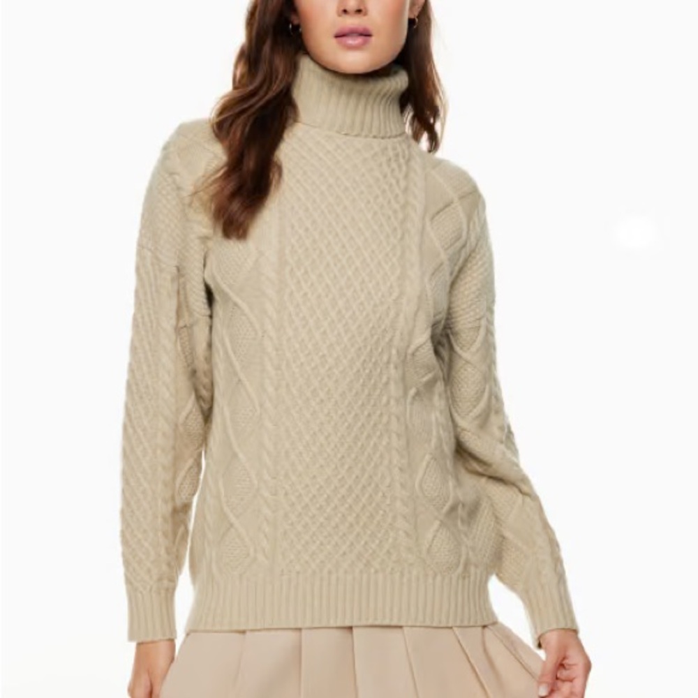 Aritzia Sunday Best Peggy Turtleneck